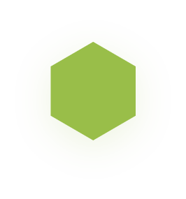 ins.png